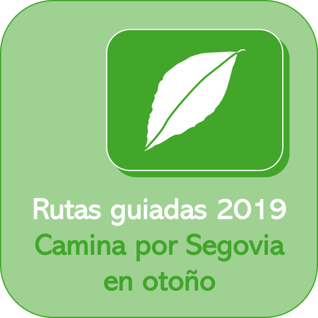 Ilustración. Rutas guiadas otoño 2019